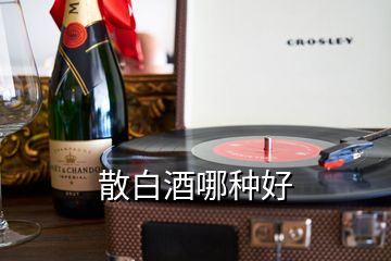 散白酒哪種好