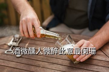 酒微醺人微醉此意最闌珊