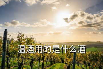 溫酒用的是什么酒