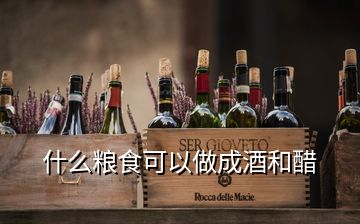 什么糧食可以做成酒和醋