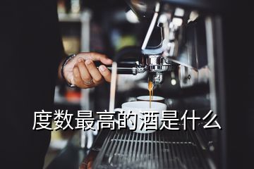 度數(shù)最高的酒是什么