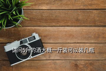 請問5升的酒大概一斤裝可以裝幾瓶