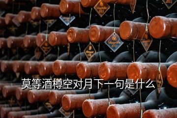 莫等酒樽空對月下一句是什么