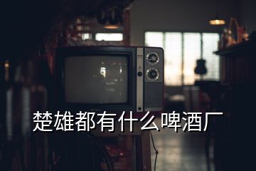 楚雄都有什么啤酒廠