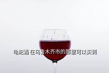 龜蛇酒 在烏魯木齊市的那里可以買(mǎi)到