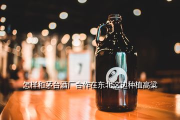 怎樣和茅臺(tái)酒廠(chǎng)合作在東北這邊種植高粱