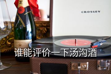 誰能評(píng)價(jià)一下湯溝酒