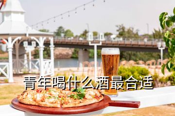 青年喝什么酒最合適