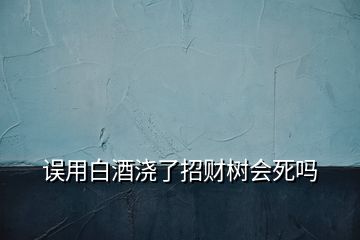 誤用白酒澆了招財(cái)樹(shù)會(huì)死嗎