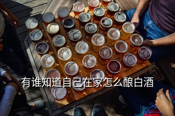 有誰知道自己在家怎么釀白酒