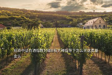 招商中證白酒指數(shù)分級B有大神指導下怎么買這類基金么