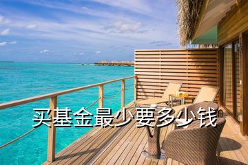買基金最少要多少錢
