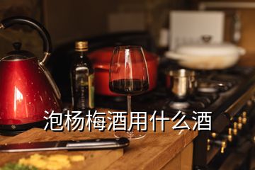 泡楊梅酒用什么酒