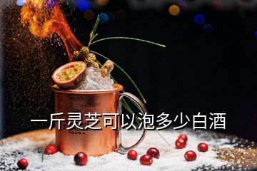 一斤靈芝可以泡多少白酒