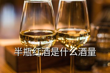 半瓶紅酒是什么酒量