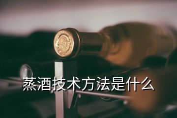 蒸酒技術(shù)方法是什么