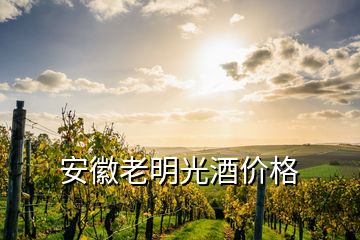 安徽老明光酒價格