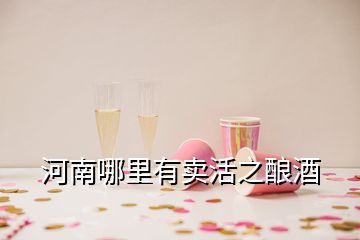 河南哪里有賣活之釀酒