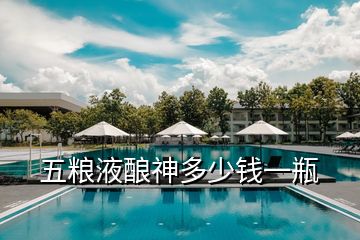 五糧液釀神多少錢一瓶