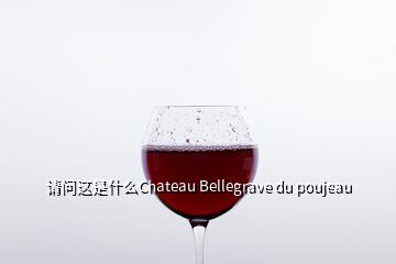 請問這是什么Chateau Bellegrave du poujeau