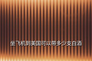 坐飛機(jī)到美國可以帶多少支白酒