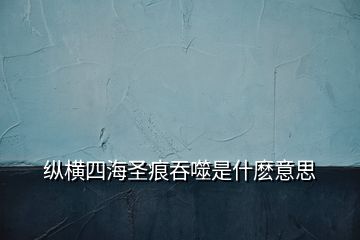 縱橫四海圣痕吞噬是什麼意思