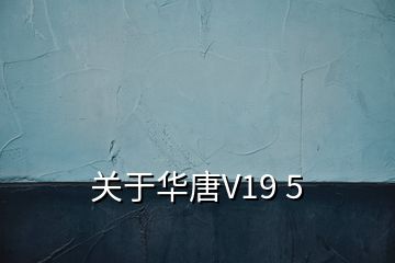 關于華唐V19 5