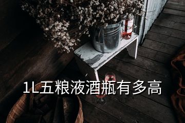 1L五糧液酒瓶有多高