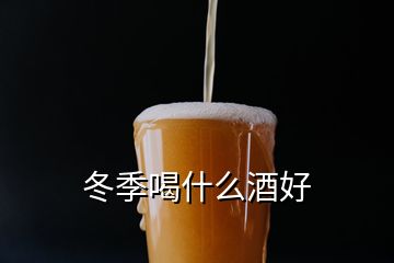 冬季喝什么酒好