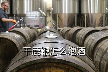 干鹿鞭怎么泡酒