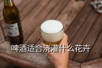 啤酒適合澆灌什么花卉