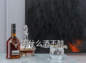 喝什么酒不醉