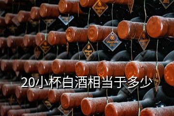 20小杯白酒相當(dāng)于多少