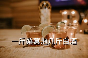 一斤桑葚泡幾斤白酒