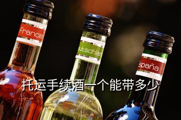 托運(yùn)手續(xù)酒一個(gè)能帶多少