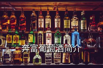 奔富葡萄酒簡(jiǎn)介