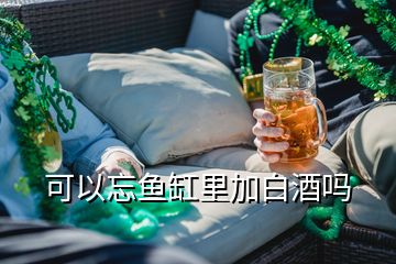 可以忘魚(yú)缸里加白酒嗎