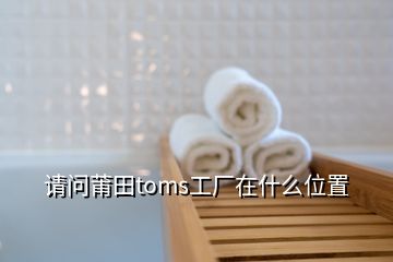 請(qǐng)問莆田toms工廠在什么位置