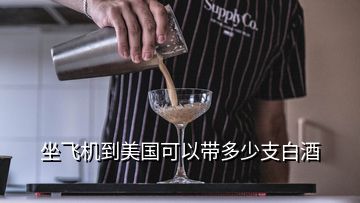 坐飛機到美國可以帶多少支白酒