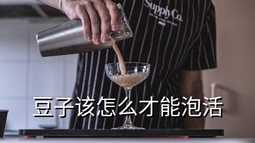 豆子該怎么才能泡活