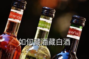 如何藏酒藏白酒