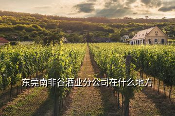 東莞南非谷酒業(yè)分公司在什么地方