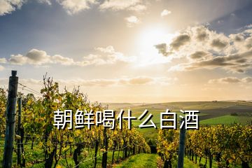 朝鮮喝什么白酒