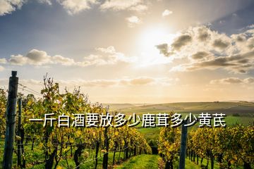 一斤白酒要放多少鹿茸多少黃芪