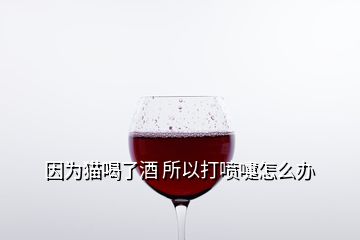 因為貓喝了酒 所以打噴嚏怎么辦