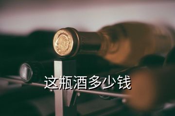 這瓶酒多少錢