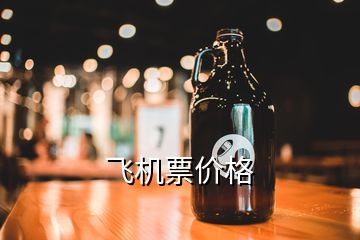 飛機(jī)票價格