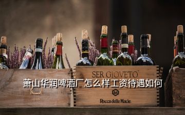 蕭山華潤啤酒廠怎么樣工資待遇如何