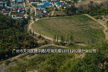 廣州市天河區(qū)建中路5號(hào)海天樓12011202是什么公司