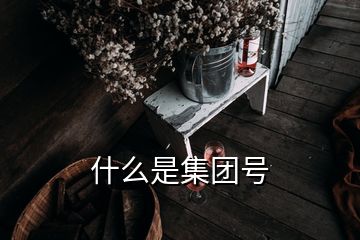 什么是集團號